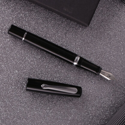 Narwhal Classic Black Fountain Pen